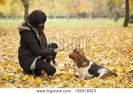 The woman with a dog in the park Selective focus and small depth of field lens flare