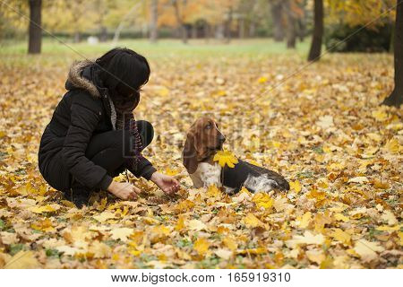 The woman with a dog in the park Selective focus and small depth of field lens flare