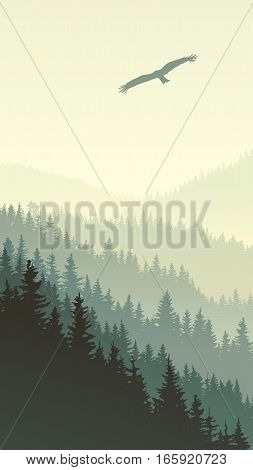 Vertical illustration of misty coniferous forest hills with eagle.