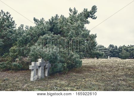 three stone crosses in the old cemetery on gloomy cold autumn day