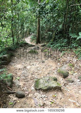 nature walkway in Khao Chamao , Rayong , Thailand