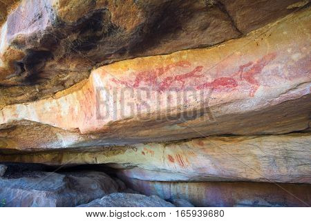 Ancient bushman paintings on Sevilla Rock Art trail in Cederberg Mountains, South Africa