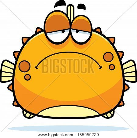 Sad Little Blowfish