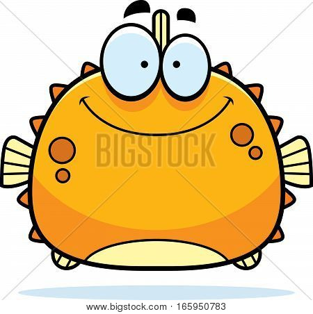 Smiling Little Blowfish