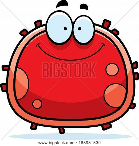 Red Blood Cell Smiling