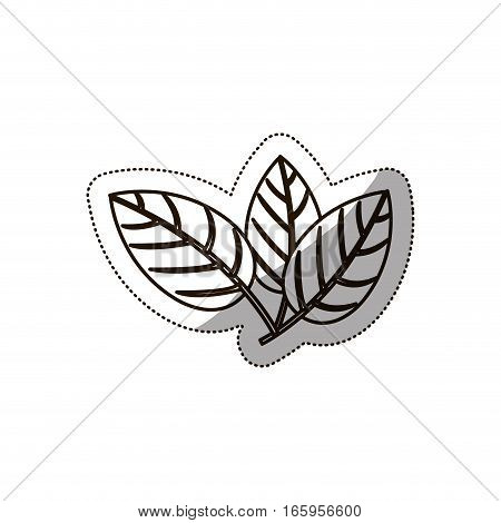sticker medium shade of leaves with ramifications vector illustration