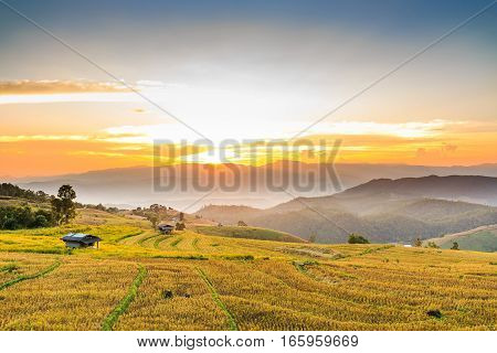 Terraced Rice Field After Harvesting At Sunset