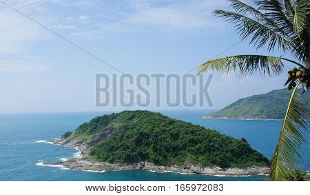 Palm and Island View in Phuket, Thailand
