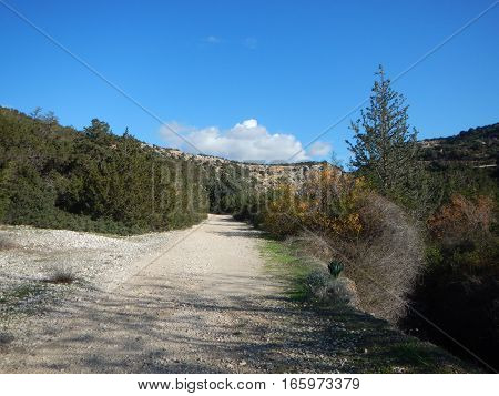 Avakas Gorge In Western Cyprus