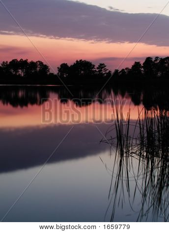 Pôr do sol em Hal Scott natureza preservar