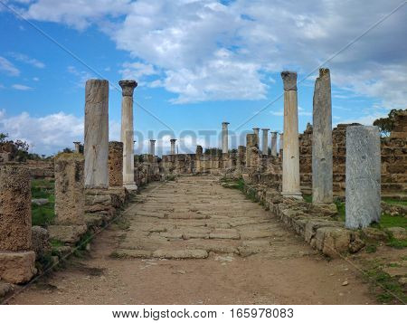 Ancient Greek Archeological Site Salamis