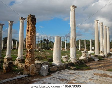 Ancient Greek Archeological Site Salamis