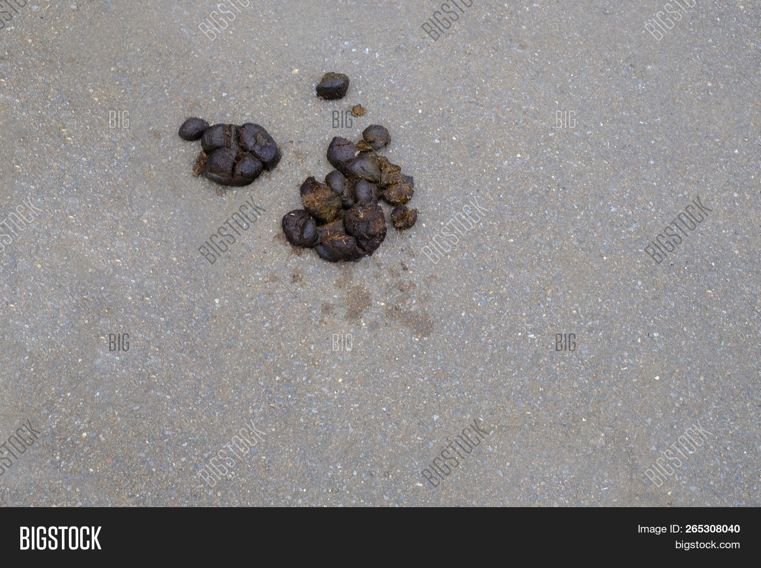 Horse Poo Dollop Image & Photo (Free Trial) Bigstock