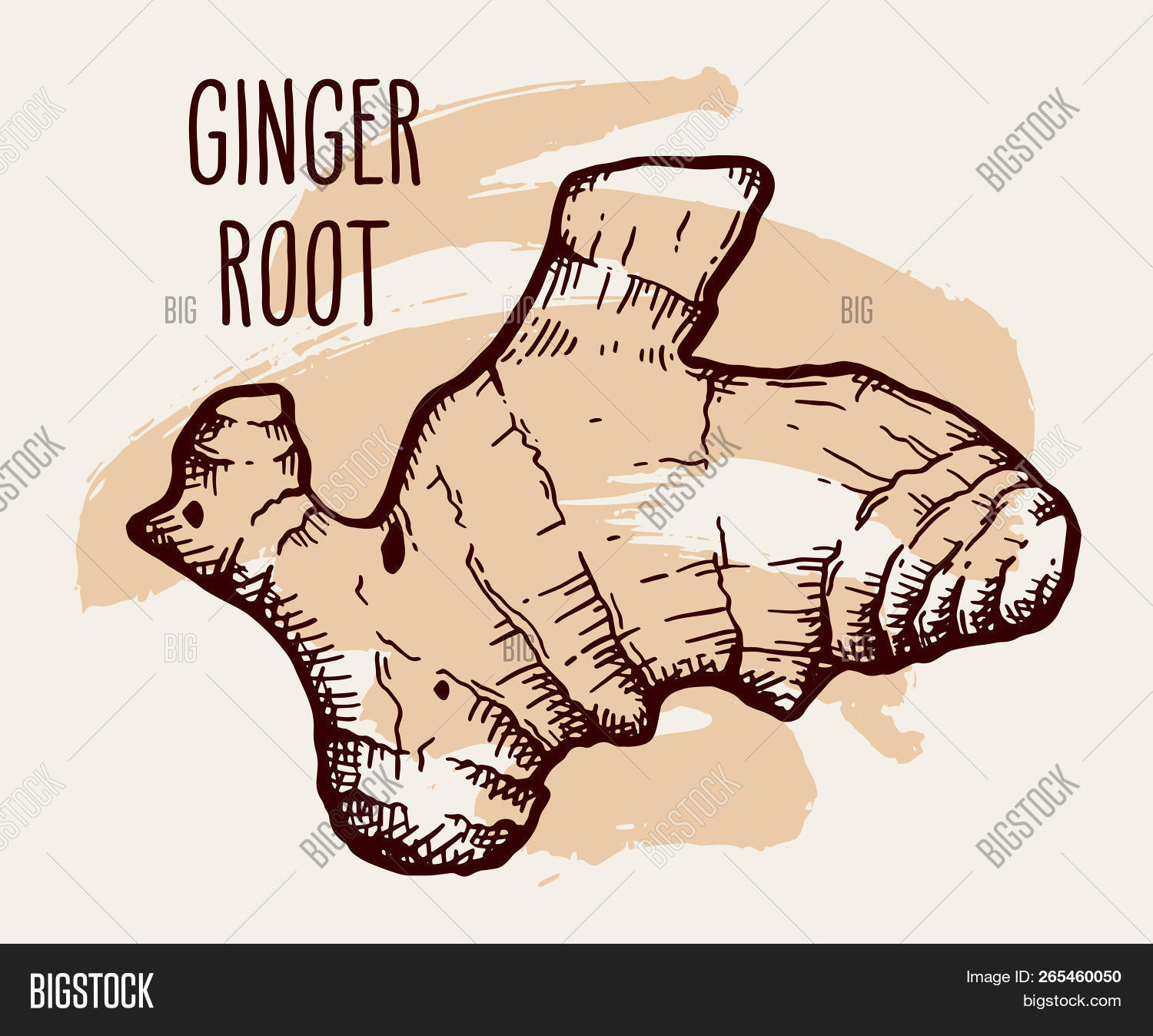 Ginger Root Tattoos