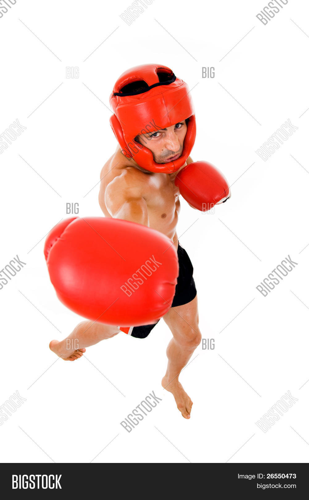 Top View Young Boxer Image & Photo (Free Trial) | Bigstock