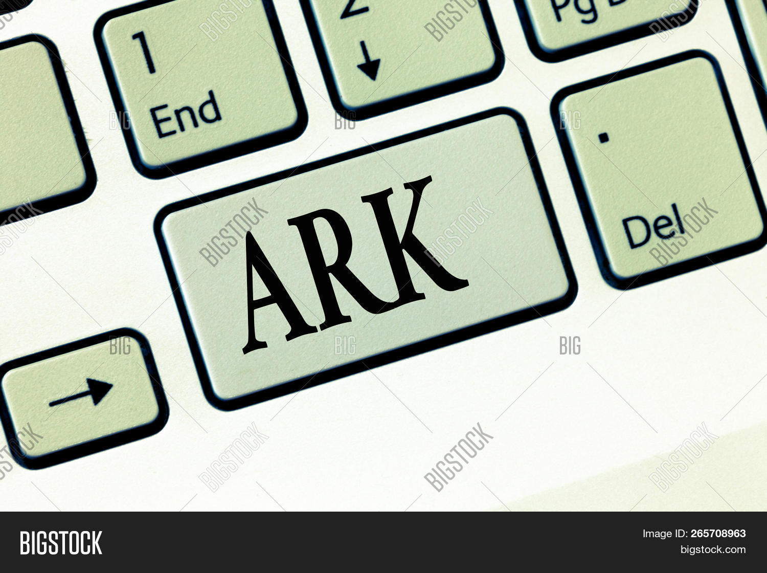 Text Sign Showing Ark Image & Photo (Free Trial) Bigstock