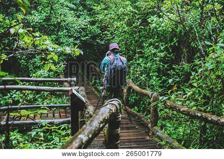 Asian Man Travel Nature. Take A Picture Nature Study In The Jungle At Chiangmai In Thailand.