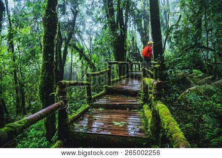 Asian Women Travel Relax Nature Study In The Jungle At Chiangmai In Thailand.