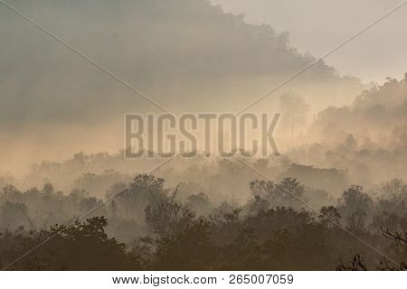 Forest And Blue Sky Is Background ,thailand