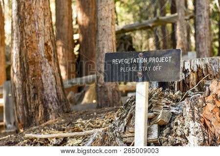Revegetation Project Sign In Sequoia National Park, California