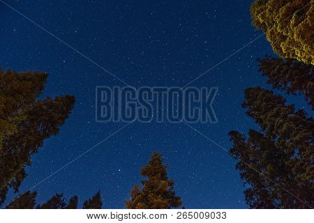 Stars Seen From Dorst Creek Campground In Sequoia National Park, California