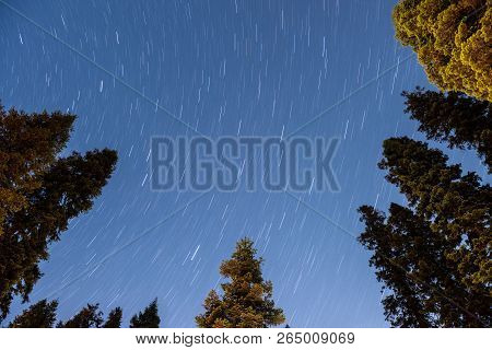 Star Trails In Dorst Creek Campground In Sequoia National Park, California