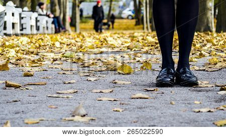 Close Up Of Feet Of Girl In Autumn Yellow Leaves On Asphalt. Female Legs In Black Boots,  Stockings 