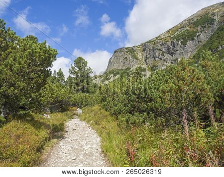 Footpath Trail From Strbske Pleso, Beautiful Nature With Pine Trees And Rocky Montain Peak, High Tat
