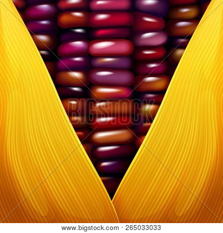 Purple Corn Seed Texture Closeup Vector Illustration