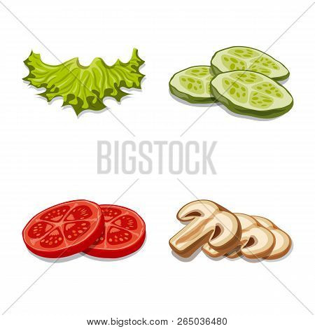 Vector Design Of Burger And Sandwich Icon. Collection Of Burger And Slice Stock Vector Illustration.