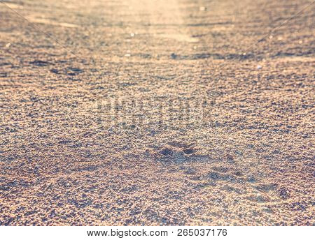 Footballer Shoes Footmark In The Sports Court Surface.  Footprints And Service Marks On A Outside Te