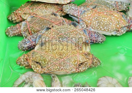 Fresh Crab For Cooking In The Market
