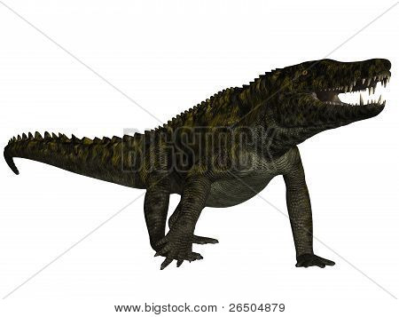 Uberabasuchus terrificus