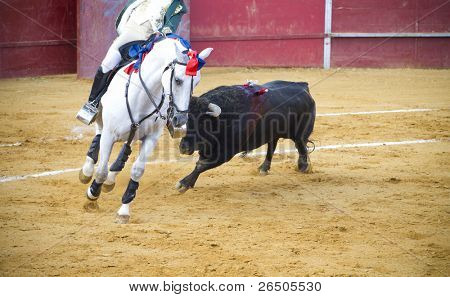 Bekämpfung der Stier Bild aus Spanien. Corrida de toros