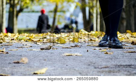 Close Up Of Feet Of Girl In Autumn Yellow Leaves On Asphalt. Female Legs In Black Boots,  Stockings 