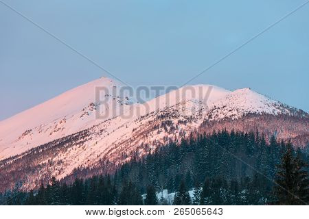 Pink Sunrise Morning Winter Snow Covered Scenery Picturesque Vuhatyj Kaminj Mountain Ridge (ukraine,