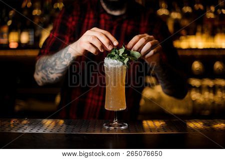 Barman Decorating Tasty Sherry Cobbler Drink In A Cocktail Glass With Mint Leaves On The Bar Counter