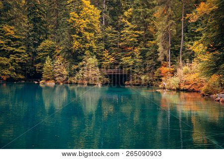 Autumn Time At Romantic Forest Lake Blausee, One Of The Best Known Mountain Lakes In Switzerland.
