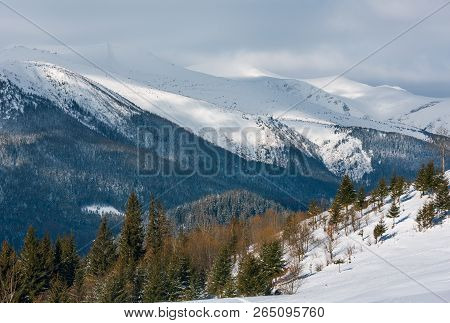 Morning Winter Snow Covered Scenery Picturesque Alp Mountain Ridge (ukraine, Carpathian Mountains, C