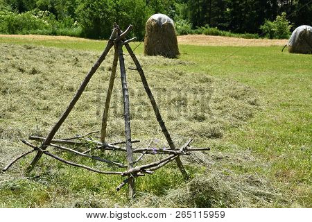 Storing Of Hay On The Meadow Traditionally With Forks And Rakes