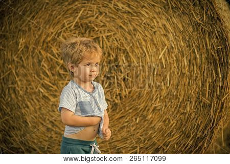 Agritourism, Eco Tourism, Vacation, Travelling. Agritourism Summer On Farm Harvest Season