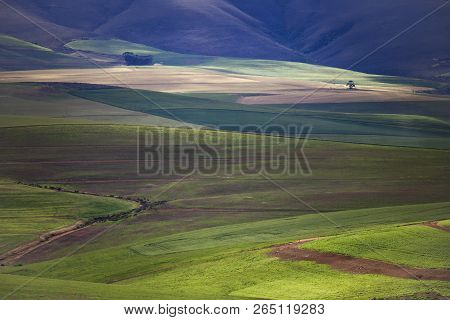 Rolling Green Agricultural Fields With Mountains In The Background - Caledon, Western Cape - South A