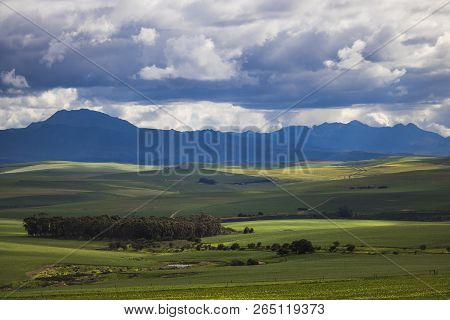 Rolling Green Agricultural Fields With Mountains In The Background - Caledon, Western Cape - South A