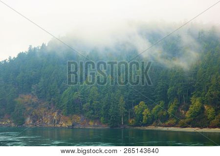Pacific Ocean Besides A Mountain With Lush Pine Forests With Low Clouds And Fog On A Rainy Day Taken