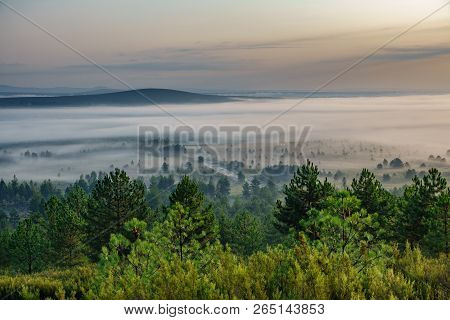 Foggy Sunrise In The Country With Firebreak