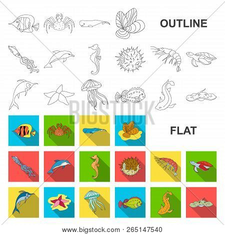 A Variety Of Marine Animals Flat Icons In Set Collection For Design. Fish And Shellfish Vector Symbo