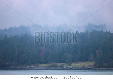 Storm Clouds And Fog Above Lush Salt Spring Island, Bc With Rural Pine Forests Besides The Pacific O