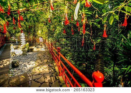The Japanese Themed Tropical Garden Outside Of Funchal On The Island Of Maderia - Portugal