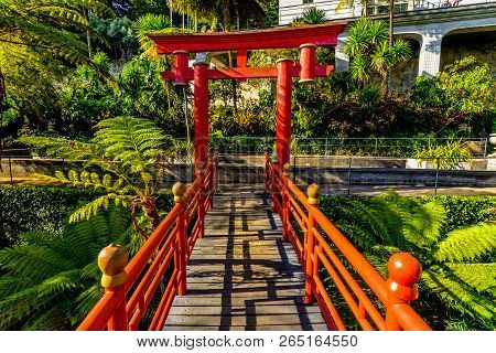 The Botanical Garden - Maderia