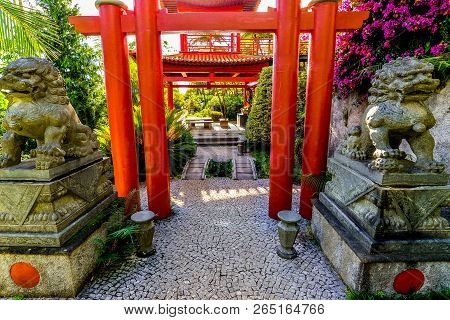 The Botanical Garden - Maderia